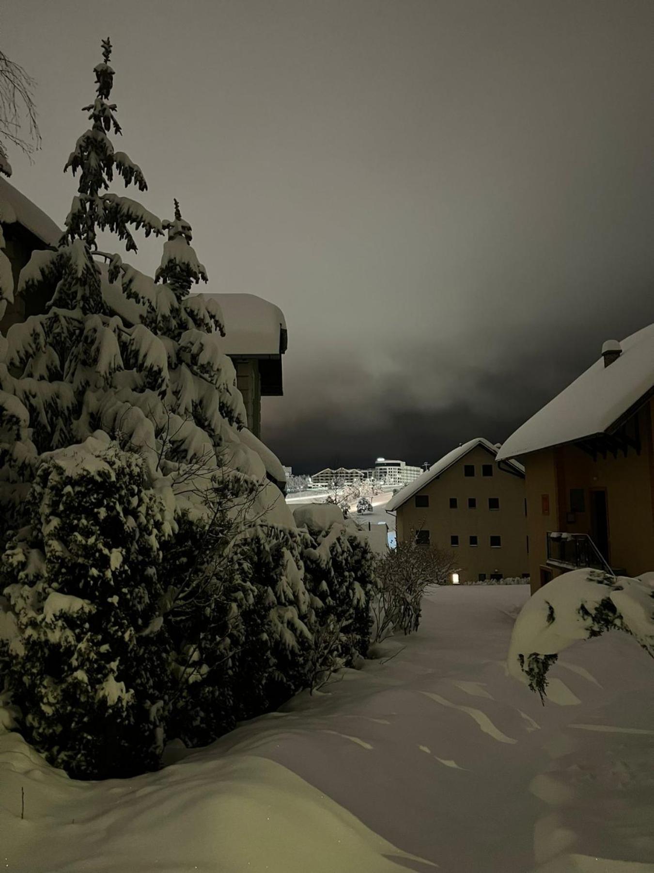 Apartmani Jasmina Zlatibor Exteriér fotografie