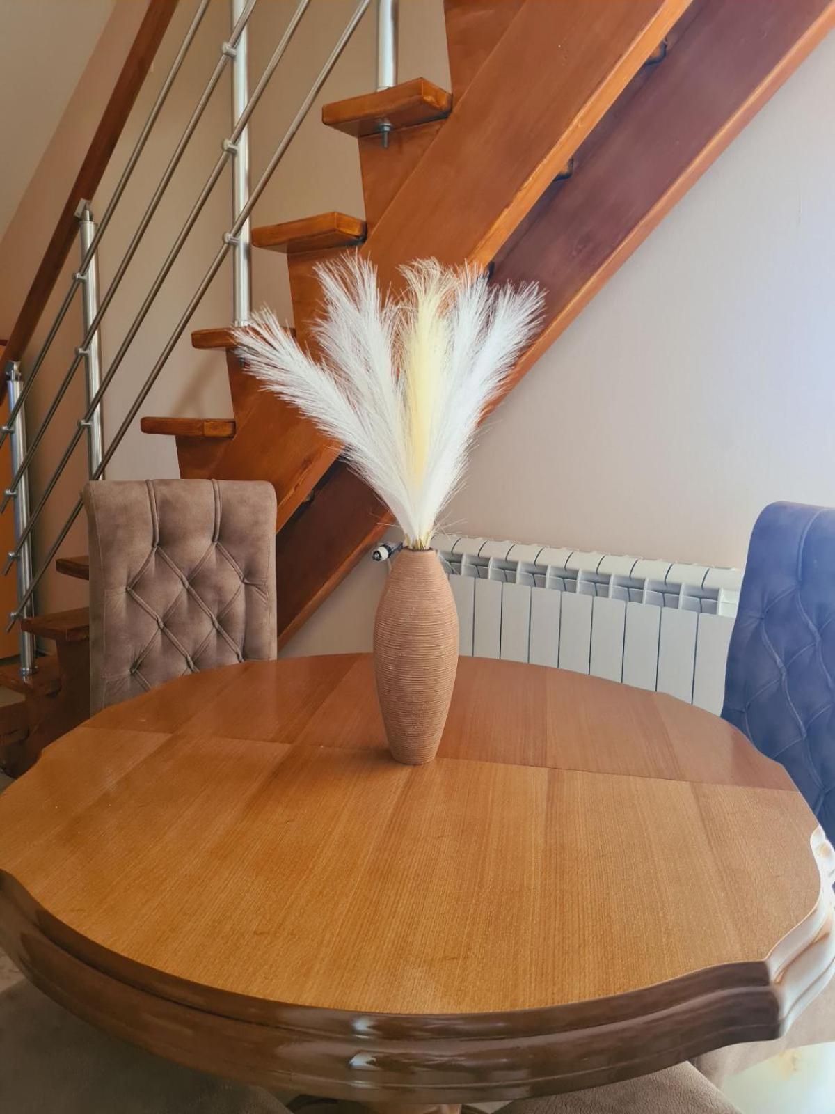 Apartmani Jasmina Zlatibor Exteriér fotografie